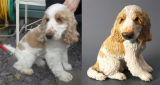 Alfie Spaniel, Commission 2012