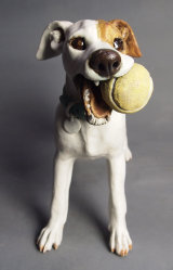 "Fetched It!" 2014