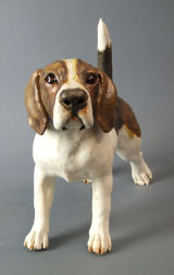 Beagle 2012