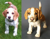 Benny beagle, Commission 2012