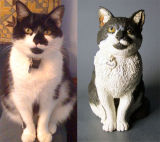 Biscuit. My first cat commission, 2012