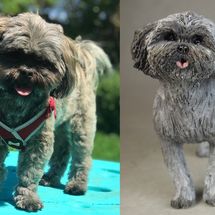 Biscuit, Commission 2019