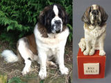 Peggy St. Bernard, Miniature Commission, 2013