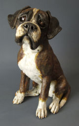 Boxer Dog 2012
