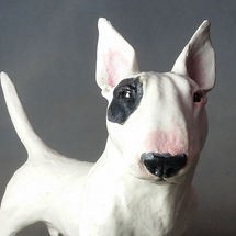 Bull Terrier 2017