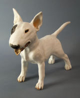 Bull Terrier 2012