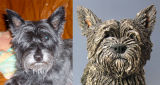 Buffy, Cairn Terrier, Commission 2012