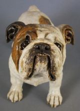 Bulldog 2012