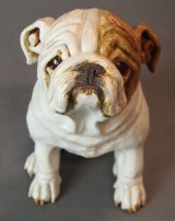 Bulldog 2014