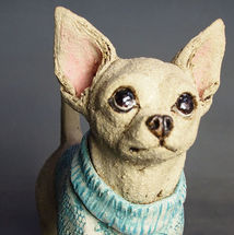 Chihuahua in woolly jumper! 2016