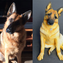 Chilli GSD, Commission 2016