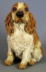 English Cocker Spaniel 2012