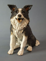 Border Collie 2012