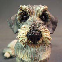 Wire Haired Dachshund 2017