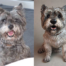Dermot Cairn Terrier, commission 2018