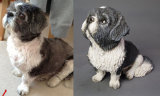 Duffy Shi Tzu, commission 2014