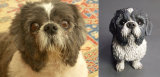 Duffy Shi Tzu, commission 2014