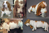 Fergus the Basset - Drinking & Sleeping! Commission 2015