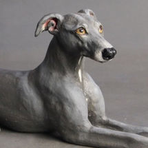 Frank Whippet, Commission 2016