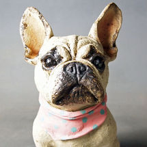 Frenchie with scarf! 2016