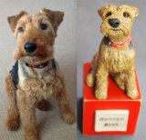 George Best Welsh Terrier, Commission 2014