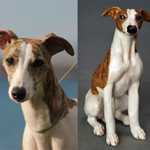 Giorgia Whippet, commission 2016
