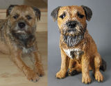 Haggis Border Terrier, Commission 2013