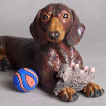 Harvey Dachshund with his favourite Squirrel & Ball 2018