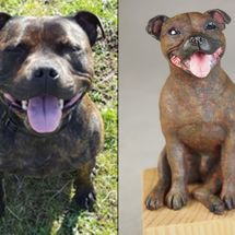 Harvey Staffy, miniature commission 2019