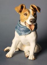 Jack Russell 2012