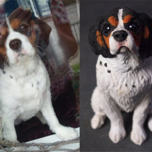 Miniature CKC Spaniel, Commission 2017