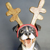 ReinDog! 2016