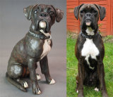 Lennox Boxer 2015
