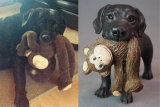 Lola & Monkey!