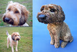 Lottie, commission 2012