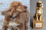 Milo Spaniel, Miniature Commission 2014