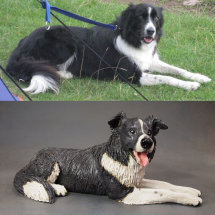 Mitch Border Collie, Commission 2016