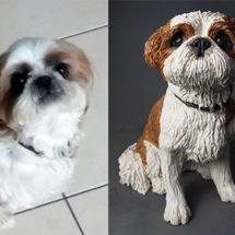 Mollie Shih Tzu, Commission 2016