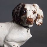 Pebbles, Spaniel Commission 2015