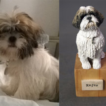 Rufus Shih Tzu, Commission 2016