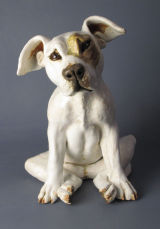 Sad Pup 2012