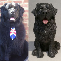 Ben Newfoundland, Commission 2018