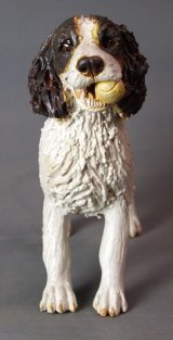 Spaniel playing Ball 2014