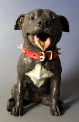 Staffy 2012