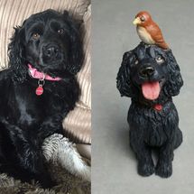 Tilly Spaniel & Bird, Commission 2018