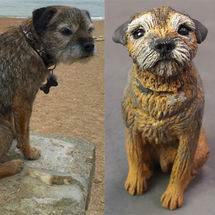 Toby Border Terrier, Commission 2016