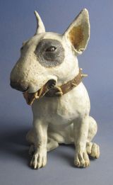 English Bull Terrier 2011