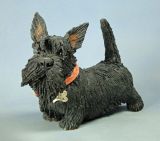 Scottie 2011