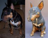Stan, English Bullie Commission 2011