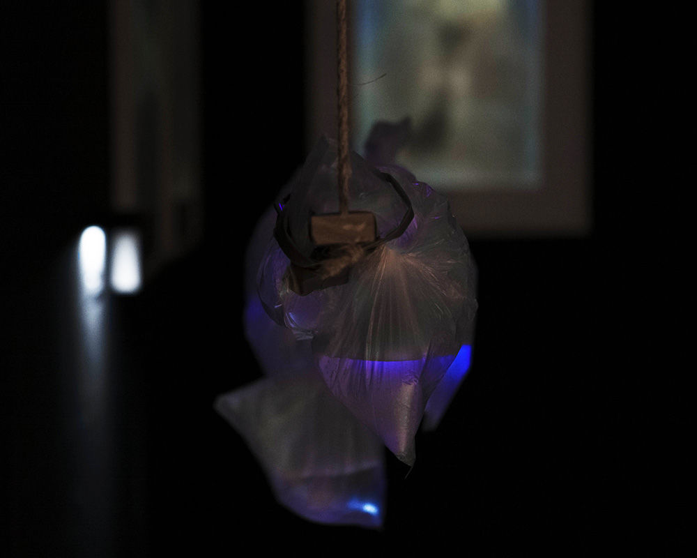 Quinine (installation view) (2017)